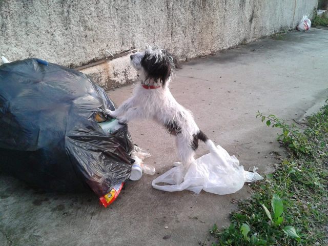 Imagem